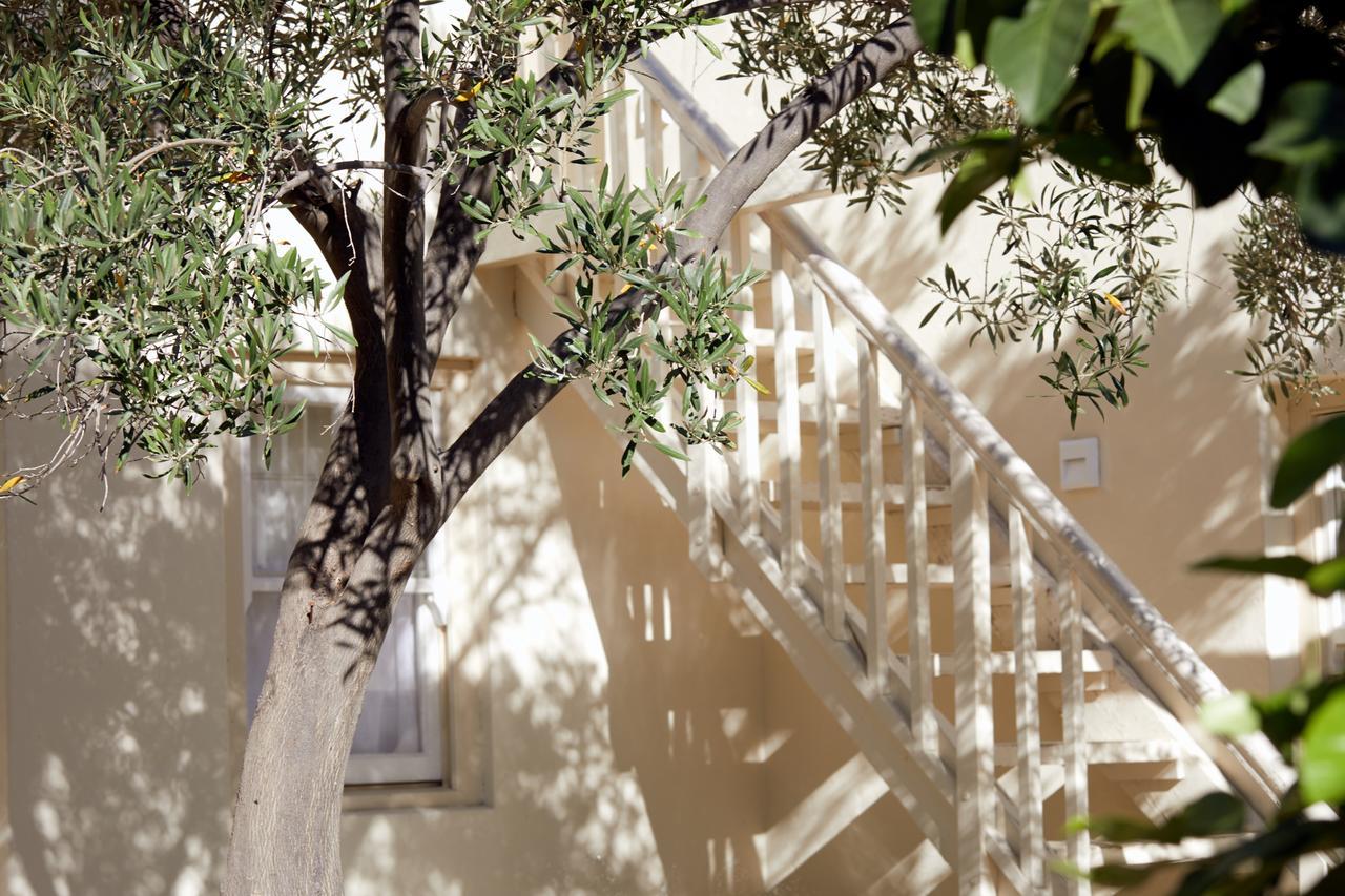 Prince Albert Country Stay エクステリア 写真